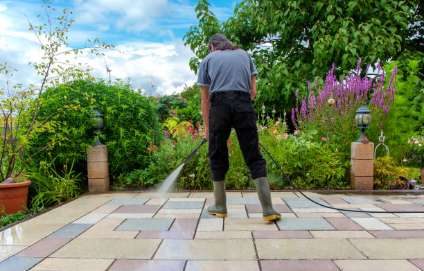 Best Fence Cleaning and Maintenance in Duquesne, PA
